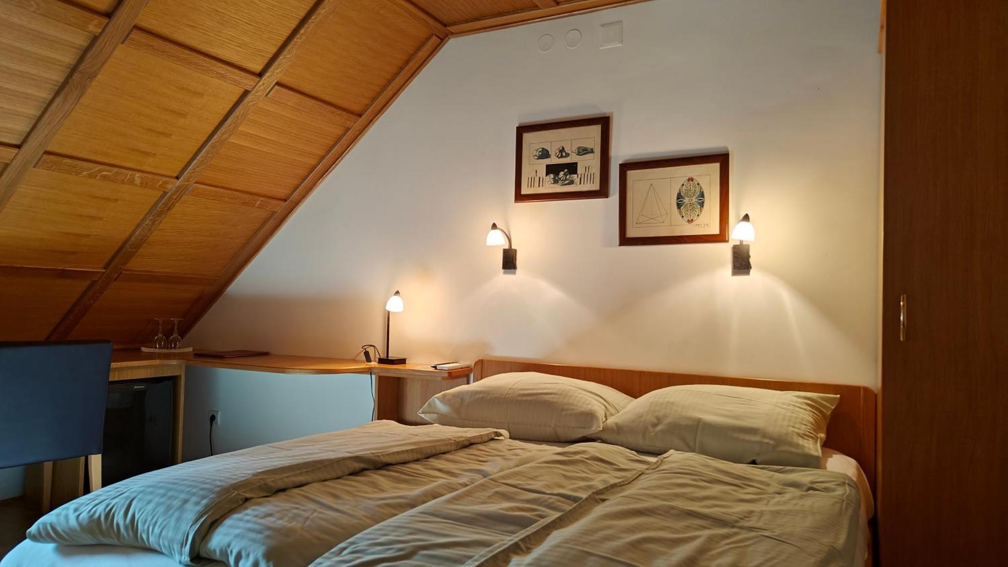 Guesthouse Pri Zalogarju Zelezniki Esterno foto